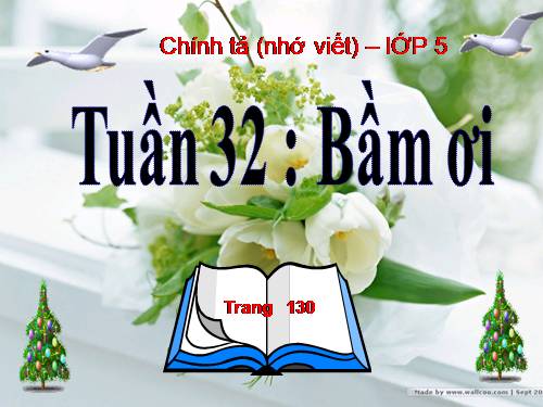 Tuần 32. Nhớ-viết: Bầm ơi