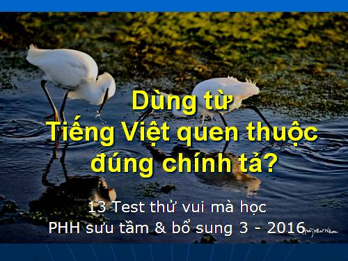 13 test thử dùng từ