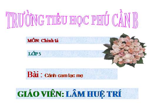 Tuần 20. Nghe-viết: Cánh cam lạc mẹ