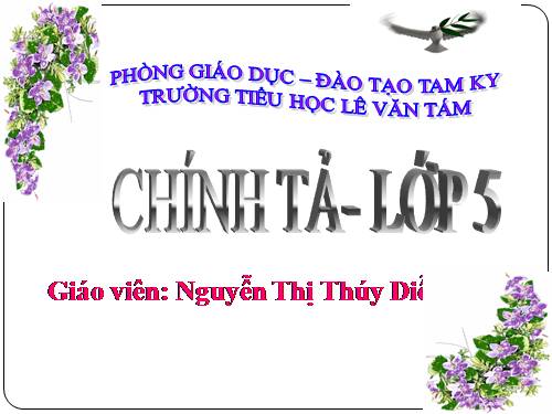 Tuần 17. Nghe-viết: Người mẹ của 51 đứa con