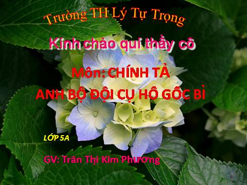 Tuần 4. Nghe-viết: Anh Bộ đội Cụ Hồ gốc Bỉ