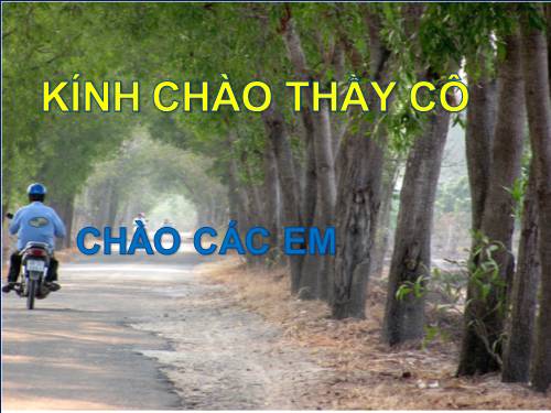 Tuần 19. Nghe-viết: Nhà yêu nước Nguyễn Trung Trực