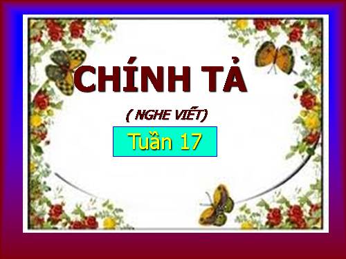 Tuần 17. Nghe-viết: Người mẹ của 51 đứa con