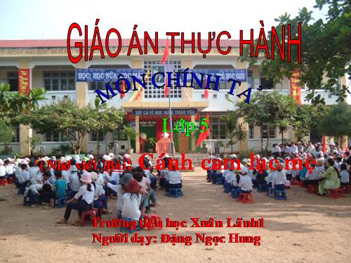 Tuần 20. Nghe-viết: Cánh cam lạc mẹ