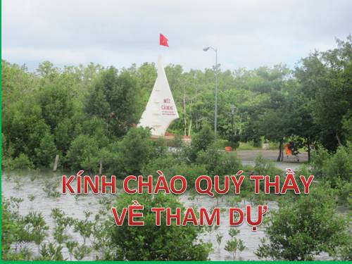 Tuần 12. Nghe-viết: Mùa thảo quả