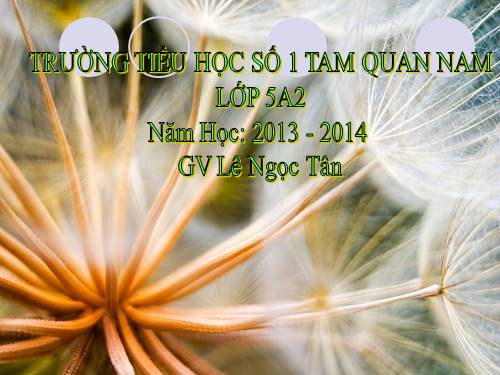 Tuần 29. Nhớ-viết: Đất nước