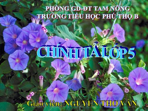 Tuần 34. Nhớ-viết: Sang năm con lên bảy