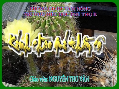 Tuần 32. Nhớ-viết: Bầm ơi