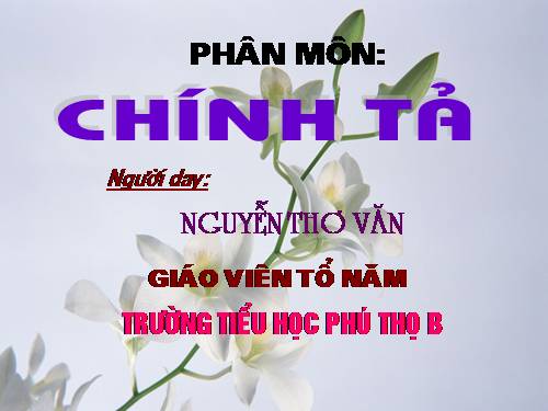 Tuần 17. Nghe-viết: Người mẹ của 51 đứa con