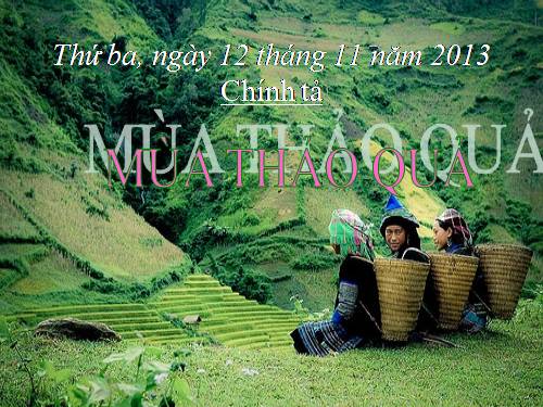 Tuần 12. Nghe-viết: Mùa thảo quả