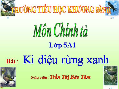 Tuần 8. Nghe-viết: Kì diệu rừng xanh