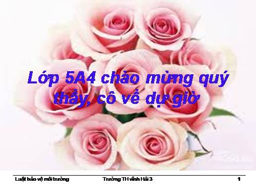 Tuần 11. Nghe-viết: Luật Bảo vệ môi trường