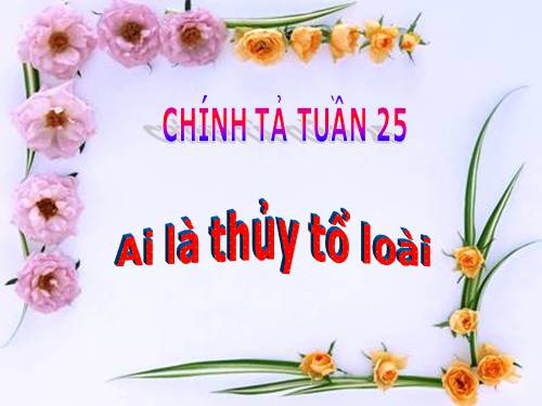 Tuần 25. Nghe-viết: Ai là thủy tổ loài người