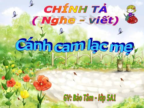 Tuần 20. Nghe-viết: Cánh cam lạc mẹ