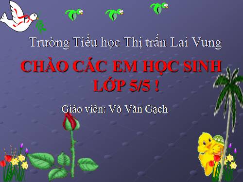 Tuần 15. Nghe-viết: Buôn Chư Lênh đón cô giáo