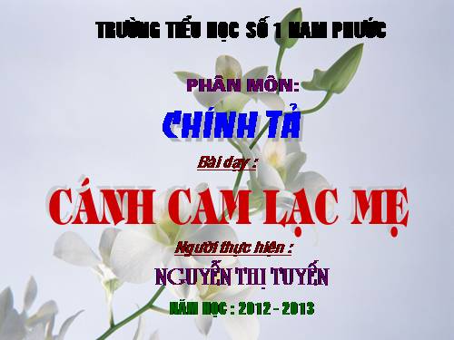 Tuần 20. Nghe-viết: Cánh cam lạc mẹ