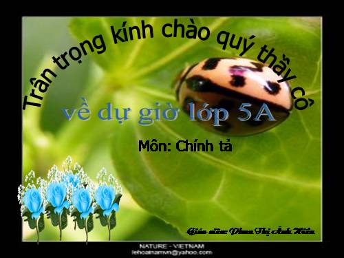 Tuần 20. Nghe-viết: Cánh cam lạc mẹ