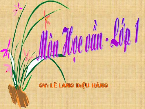 Tuần 4. Tiếng vĩ cầm ở Mỹ Lai