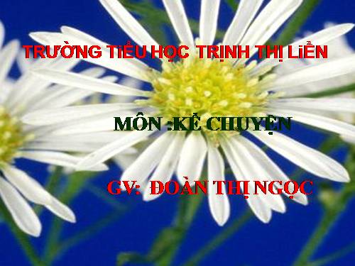 Tuần 23. Kể chuyện đã nghe, đã đọc (về những người đã góp sức bảo vệ trật tự, an ninh)