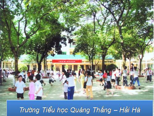 Tuần 11. Người đi săn và con nai