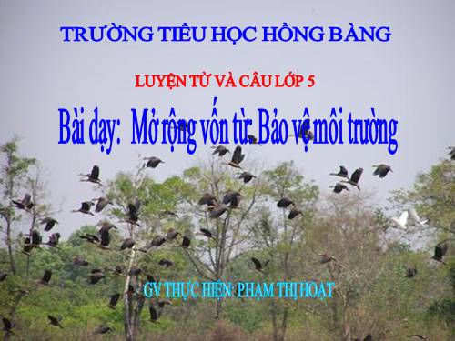 Tuần 12-13. MRVT: Bảo vệ môi trường