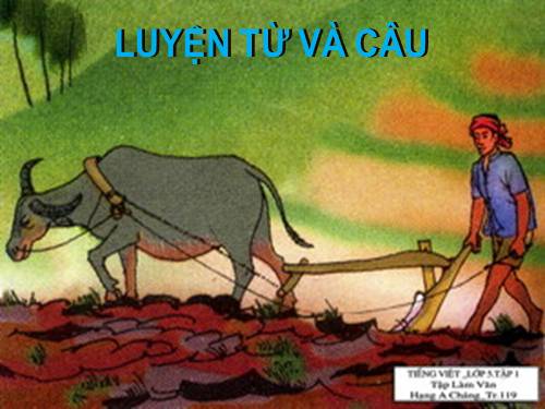 Tuần 12-13. Luyện tập về quan hệ từ