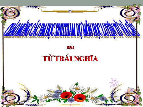 Tuần 4. Từ trái nghĩa