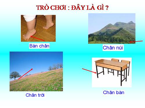 Tuần 7. Từ nhiều nghĩa