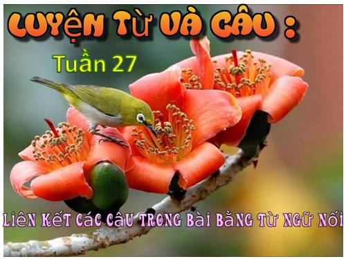 Tuần 26-27. MRVT: Truyền thống