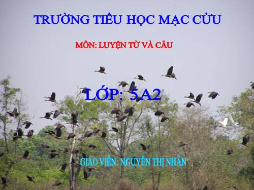 Tuần 12-13. MRVT: Bảo vệ môi trường