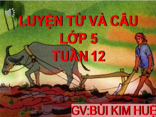 Tuần 12-13. Luyện tập về quan hệ từ