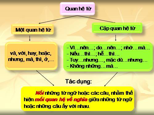 Tuần 12-13. MRVT: Bảo vệ môi trường