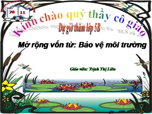 Tuần 12-13. MRVT: Bảo vệ môi trường