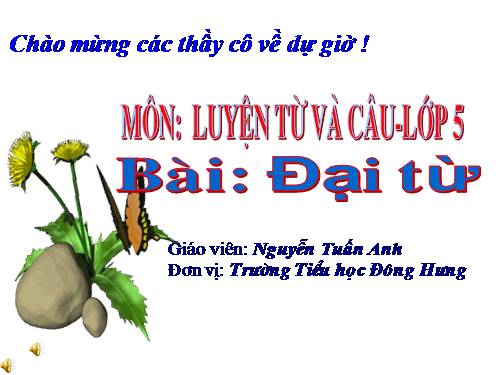 Tuần 9. Đại từ