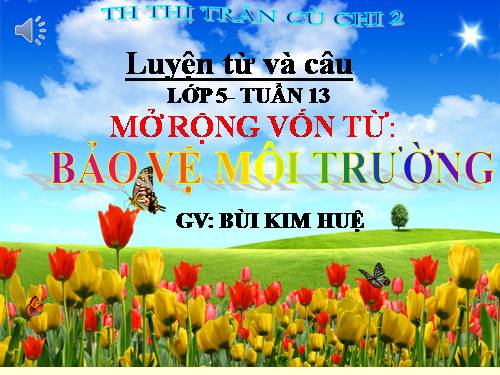 Tuần 12-13. MRVT: Bảo vệ môi trường