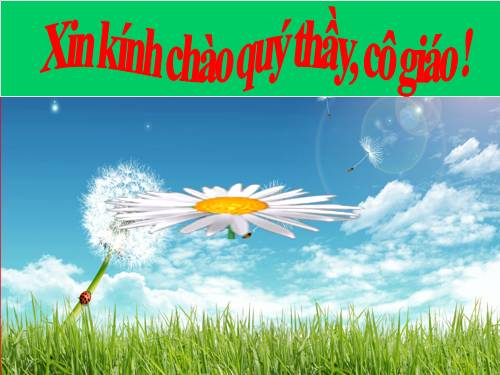 Tuần 4. Luyện tập về từ trái nghĩa