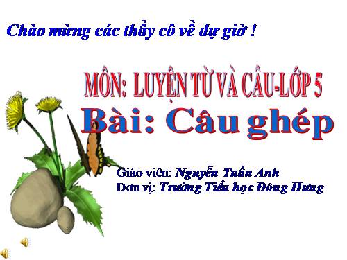 Tuần 19. Câu ghép