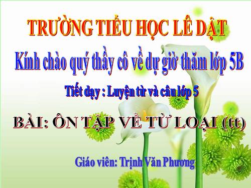 Tuần 14. Ôn tập về từ loại