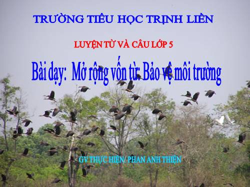 Tuần 14. Ôn tập về từ loại