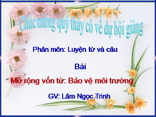 Tuần 12-13. MRVT: Bảo vệ môi trường