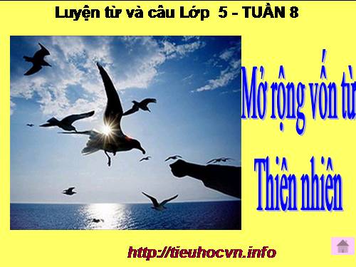 Tuần 8-9. MRVT: Thiên nhiên