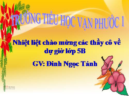 Tuần 26-27. MRVT: Truyền thống