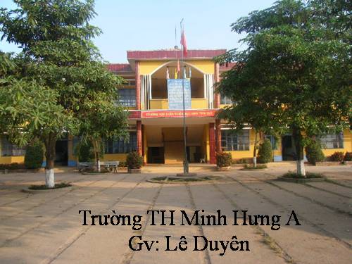 Tuần 12-13. MRVT: Bảo vệ môi trường