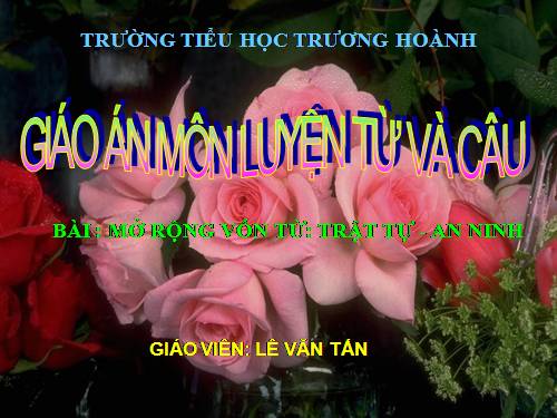 Tuần 23-24. MRVT: Trật tự - An ninh