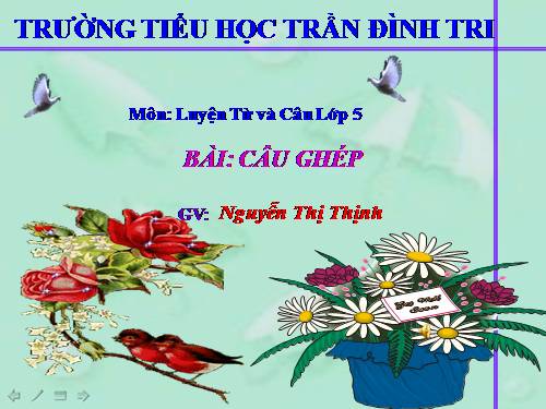 Tuần 19. Câu ghép