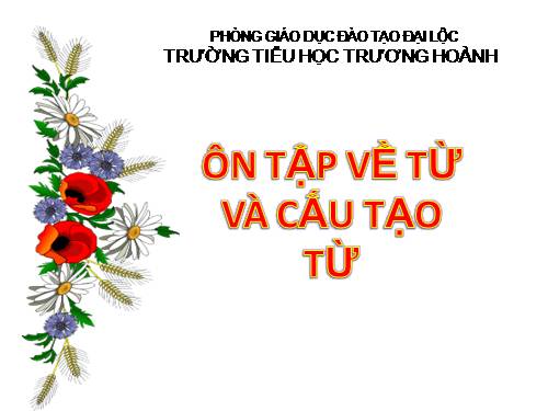 Tuần 17. Ôn tập về từ và cấu tạo từ