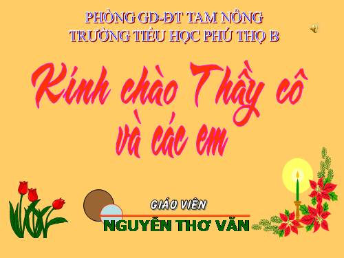 Tuần 23-24. MRVT: Trật tự - An ninh