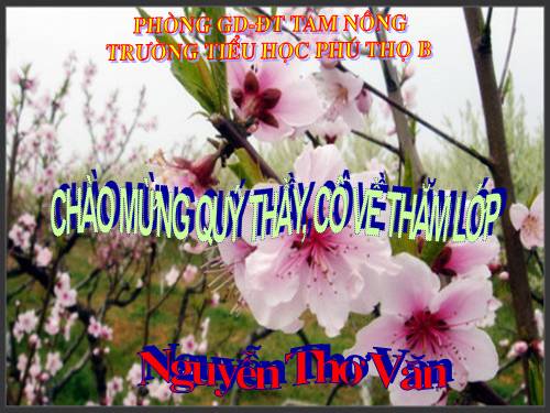 Tuần 15-16. Tổng kết vốn từ