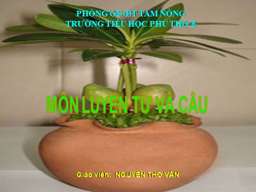 Tuần 15-16. Tổng kết vốn từ