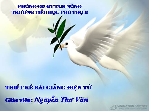 Tuần 5. MRVT: Hoà bình